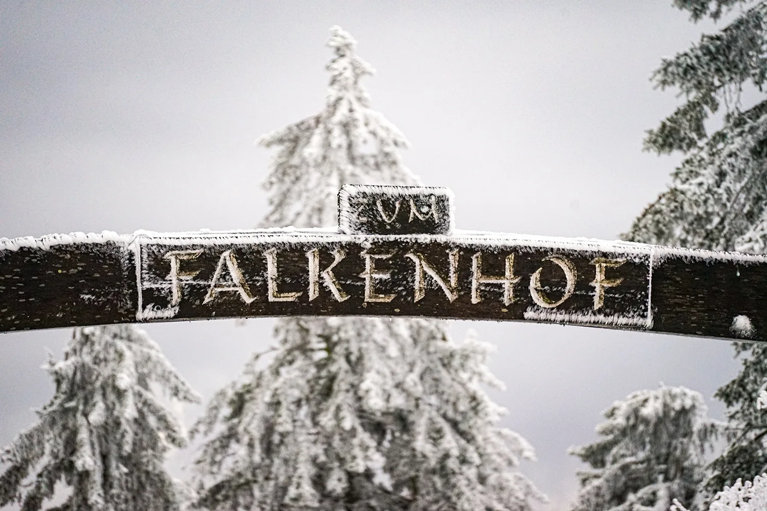 Falkenhof © Joaquín Bruna