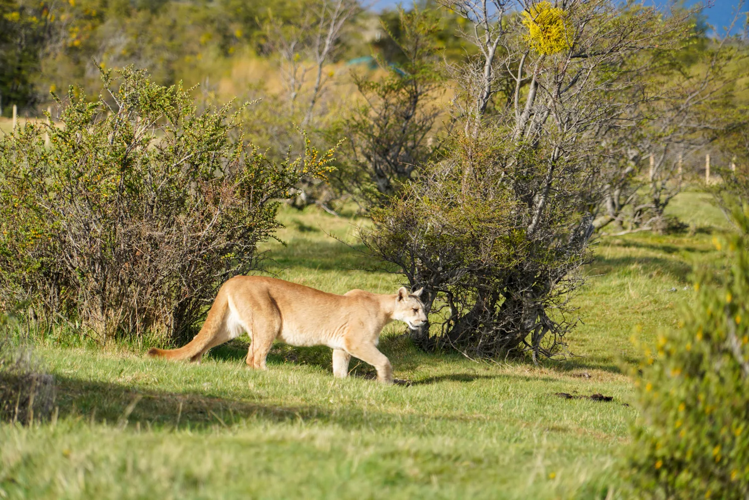 Estancia la Península